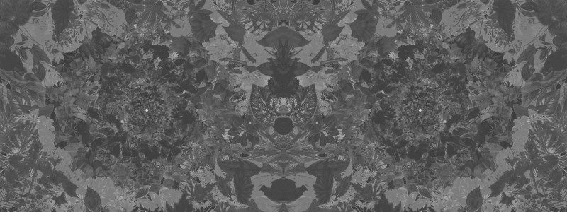Flower power Londonart