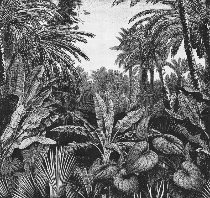 Tropical mornings Londonart