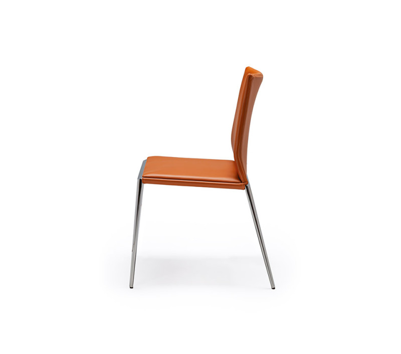 Eva Cattelan