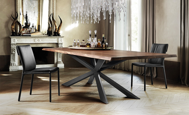 Spyder Wood Cattelan