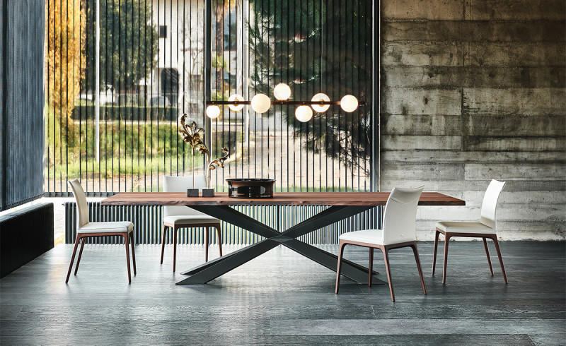 Spyder Wood Cattelan