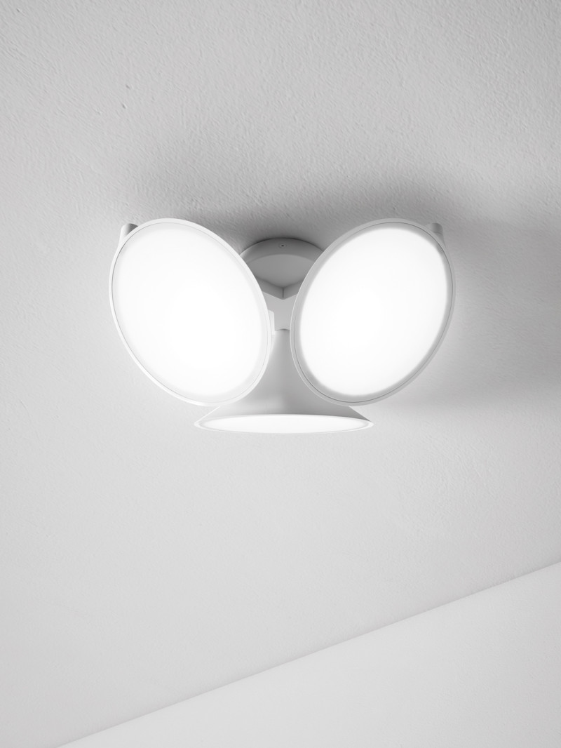 Orchid Axolight