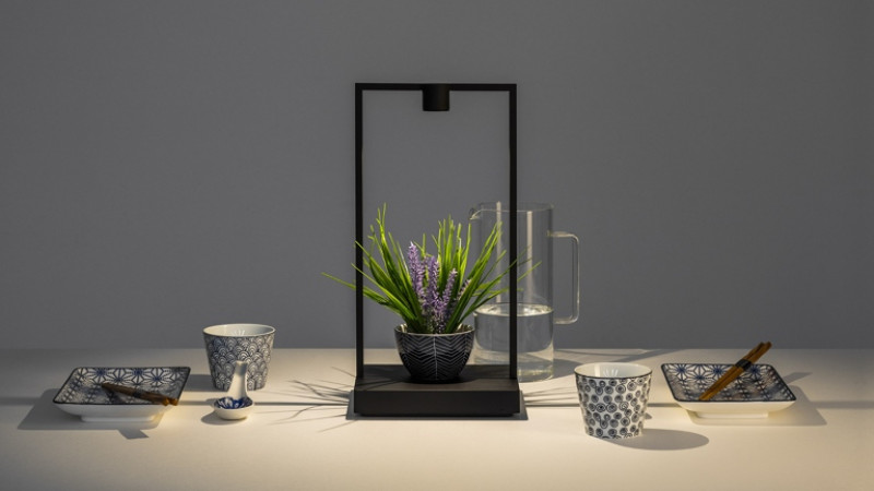 Curiosity Artemide