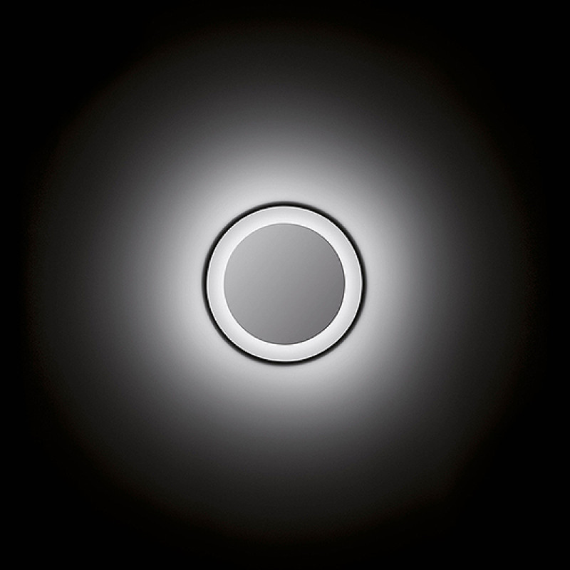 Micro VIbia