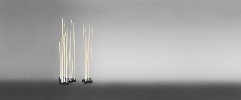 Reeds Artemide